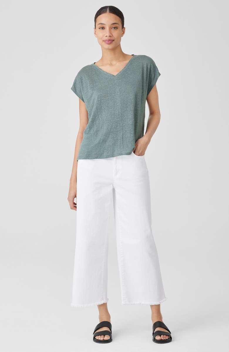 Eileen Fisher V-Neck Organic Linen T-Shirt, Alternate, color, Bellflower