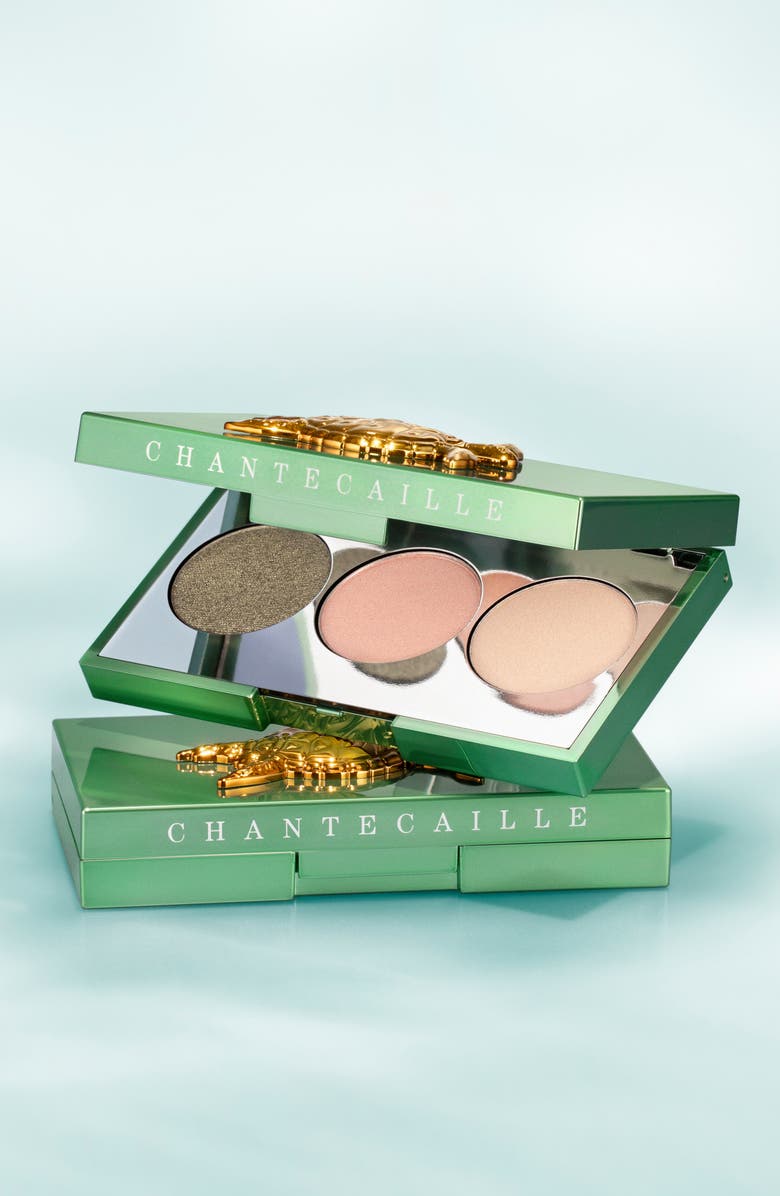 Chantecaille Sea Turtle Eyeshadow Trio, Alternate, color, 