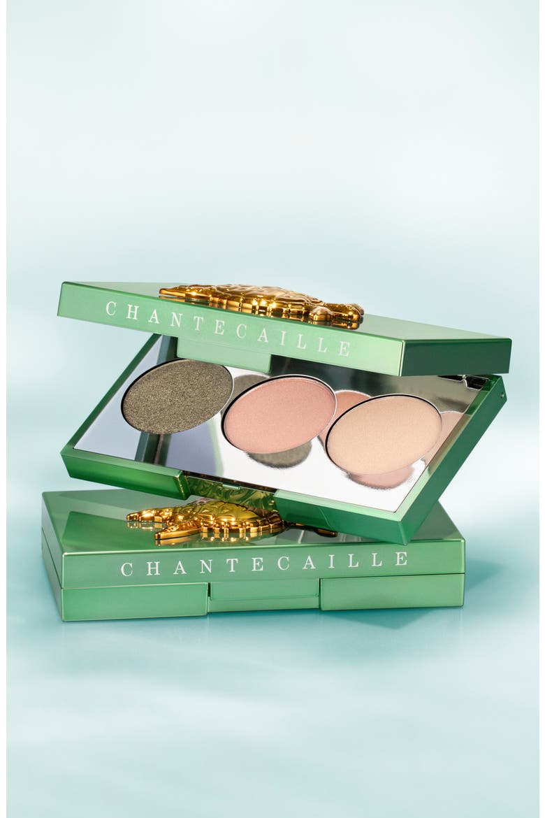 Turtle Makeup Sea Turtle Eyeshadow Trio (Limited Edition) (Women) | Nordstrom
