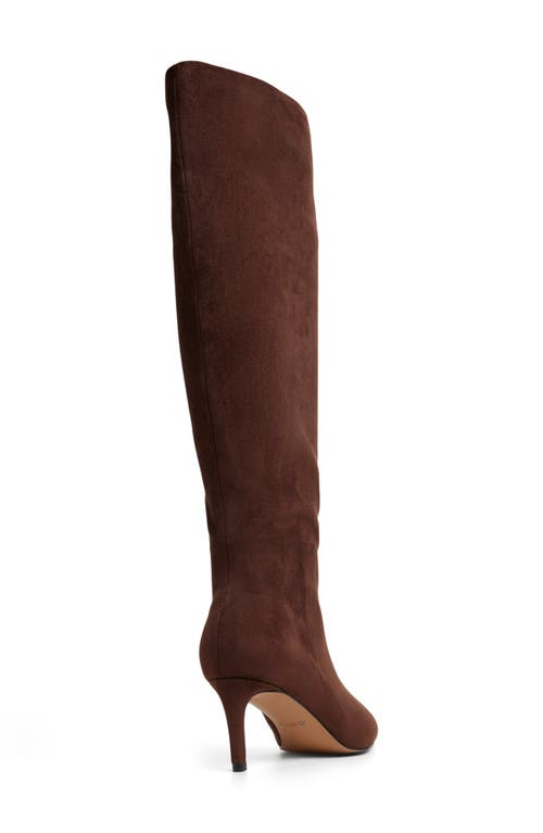 Aldo Kaylynn Pointed Toe Knee High Boot In Brown