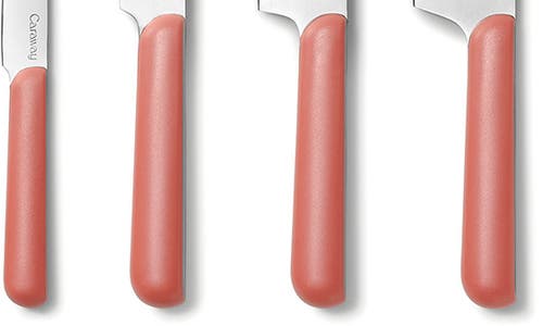 Caraway 5-piece Knife Set In Perracotta