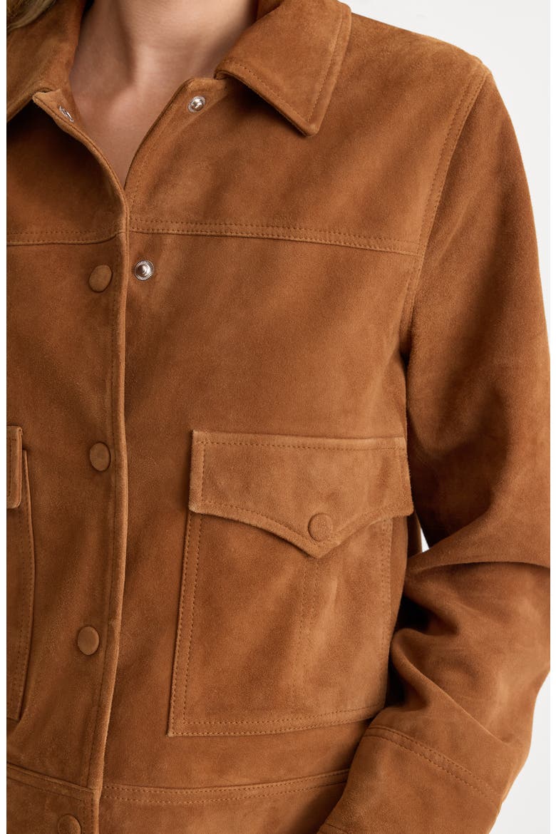The Boxy Suede Jacket, Alternate, color, CAFE CLAY