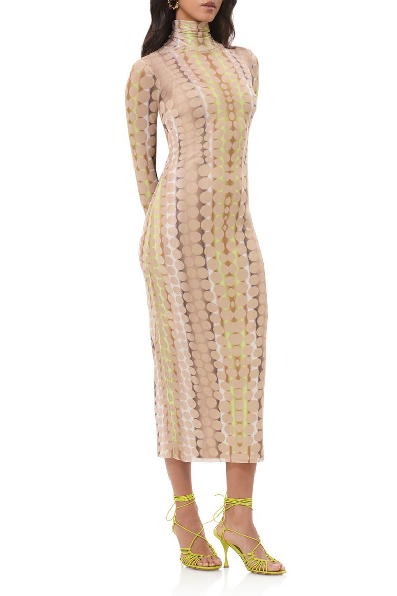Shailene Turtleneck Long Sleeve Mesh Midi Dress, Alternate, color, TONAL DOT