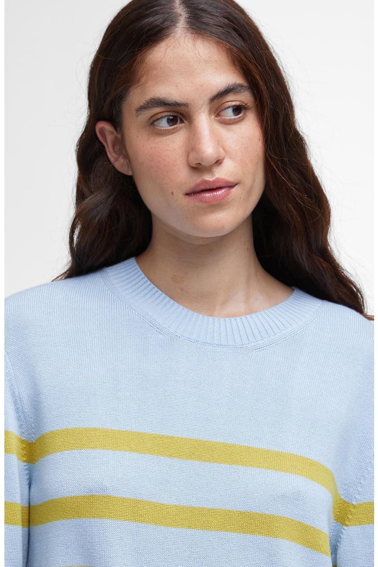 Bronya Stripe Cotton Blend Sweater, Alternate, color, BREEZE BLUE