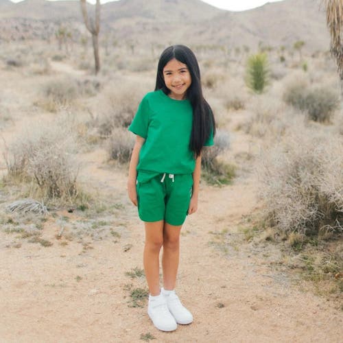 Jackalo Frankie T-shirt In Parakeet