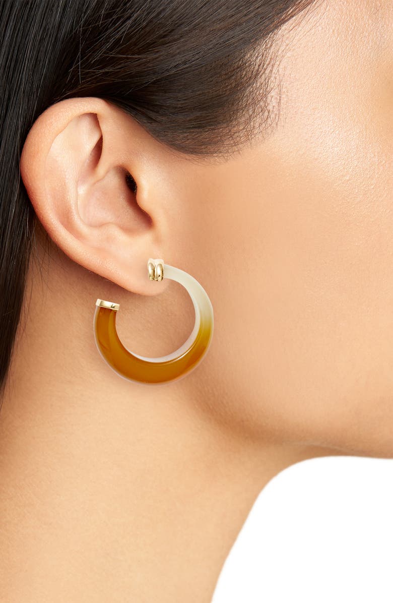 Gas Bijoux Abalone Acetate Hoop Earrings, Alternate, color,