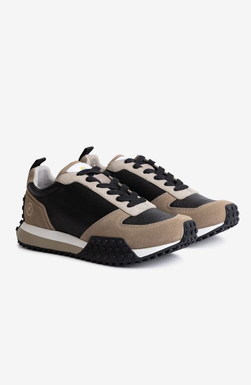 Freshy Smoove Trainer Fresh Sneaker In Multi