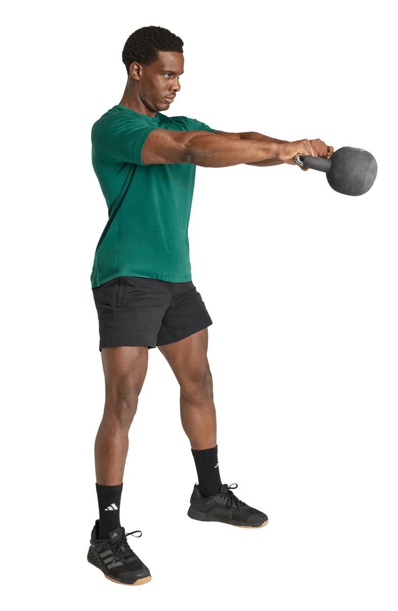 adidas Training Shorts, Alternate, color, Black