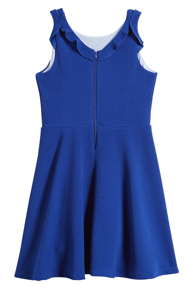Kids' Ruffle Sleeveless Skater Dress, Alternate, color, ROYAL