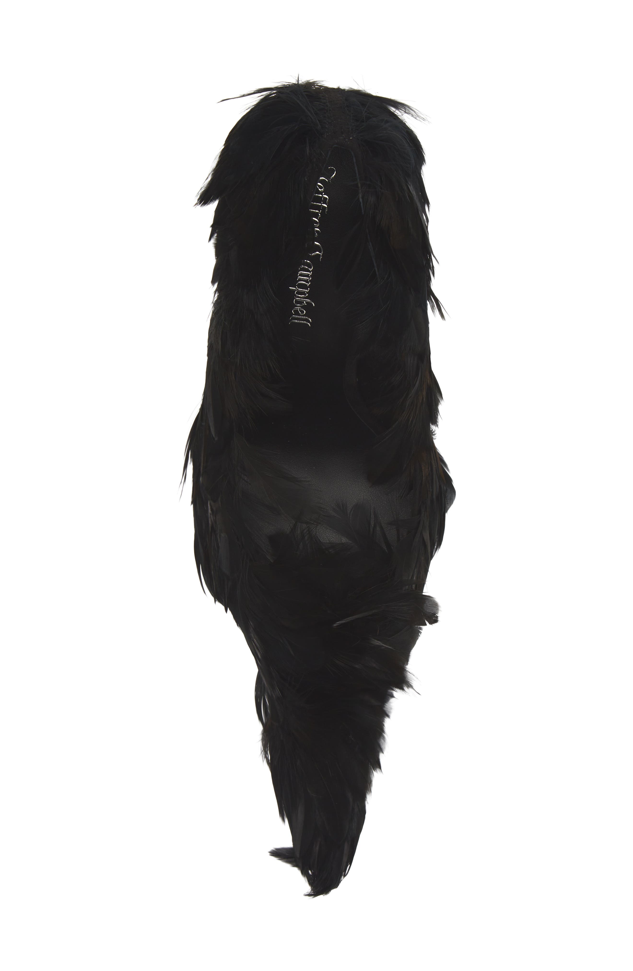 Plumage Pointed Toe Pump, Alternate, color, BLACK