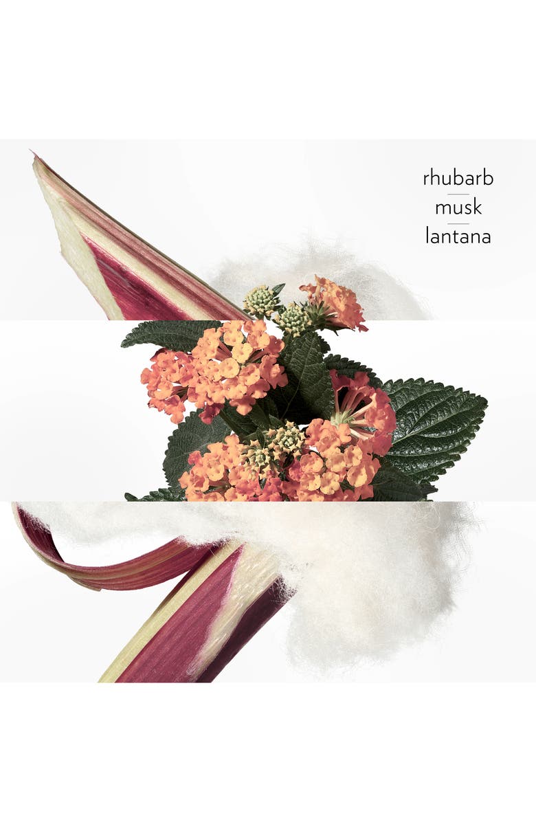 Hermès Terre d'Hermès - Eau de Rhubarbe Écarlate - Eau de Cologne, Alternate, color, 