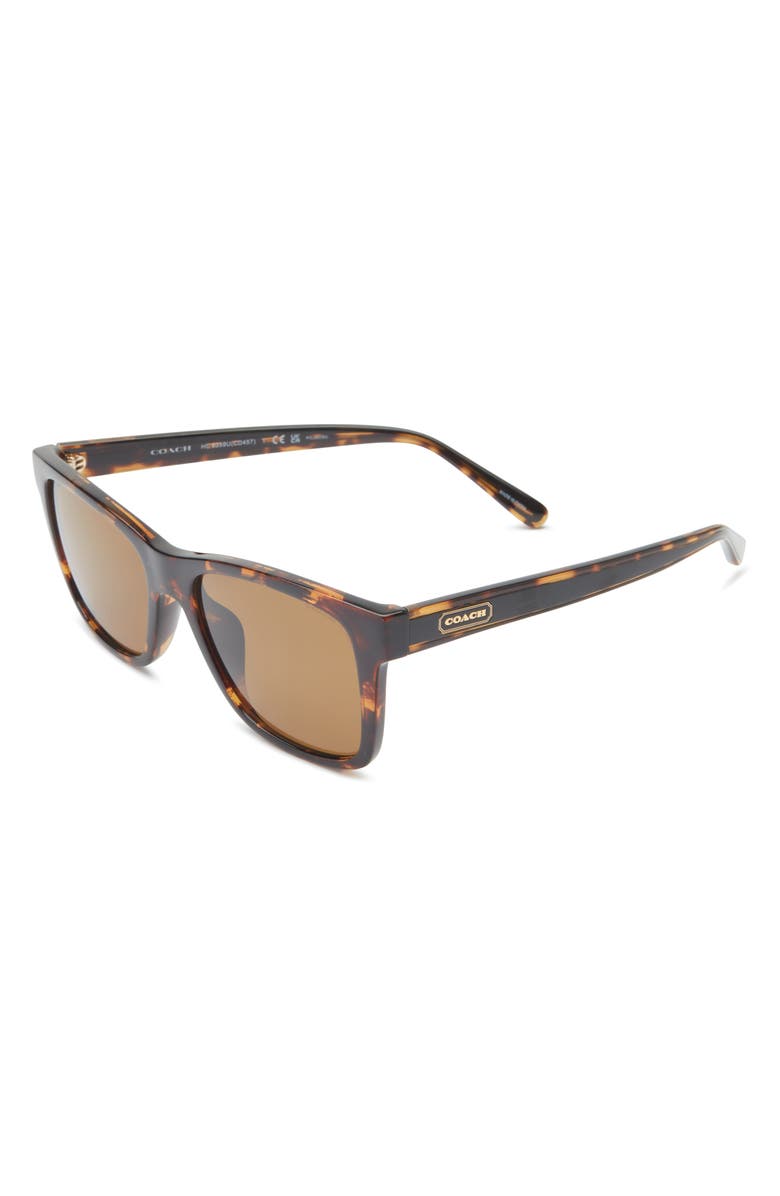 COACH 56mm Square Polarized Sunglasses, Alternate, color, Dark Tortoise