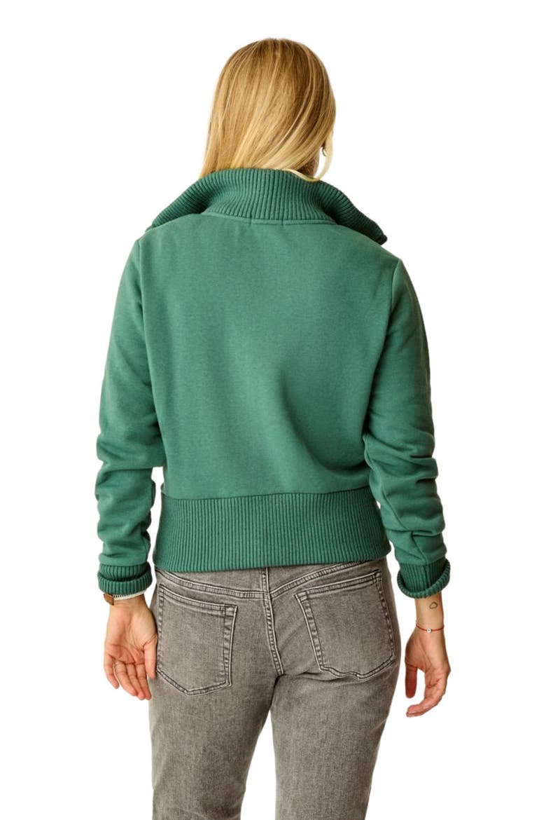 Briar Fleece Jacket, Alternate, color, Bistro