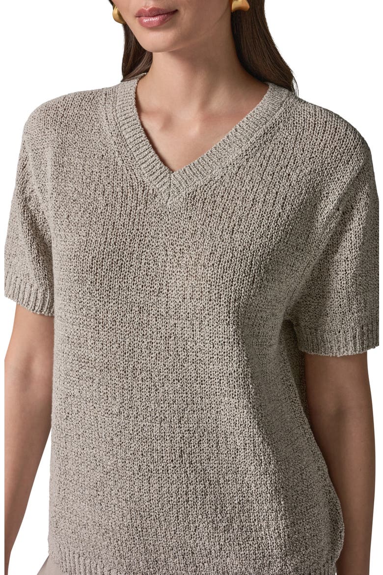 Cotton Blend V-Neck Sweater, Alternate, color, SANDSTONE MULTI