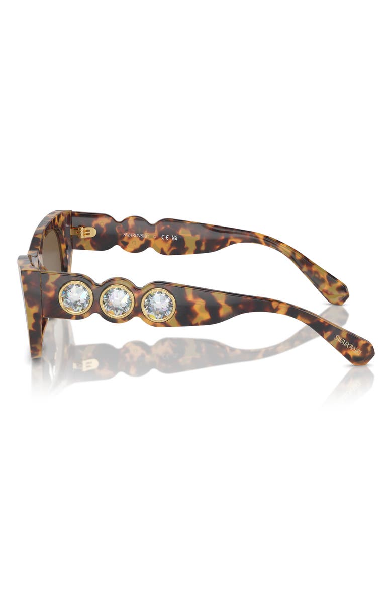 Swarovski 51mm Pillow Sunglasses, Alternate, color, Havana Transparent
