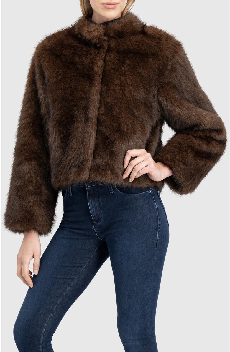 Lyla Grant Fur-Free Sable (Faux Fur) Jacket, Stand Collar, Alternate, color, Brown