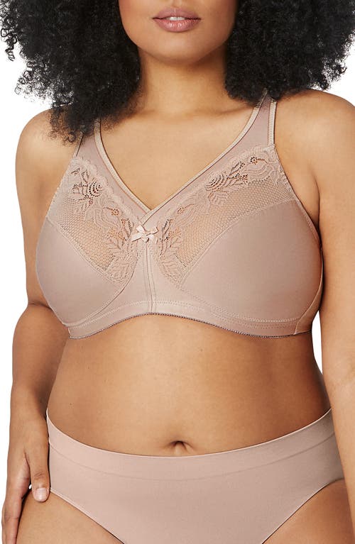 Glamorise MagicLift® Minimizer Bra in Brown at Nordstrom, Size 40H