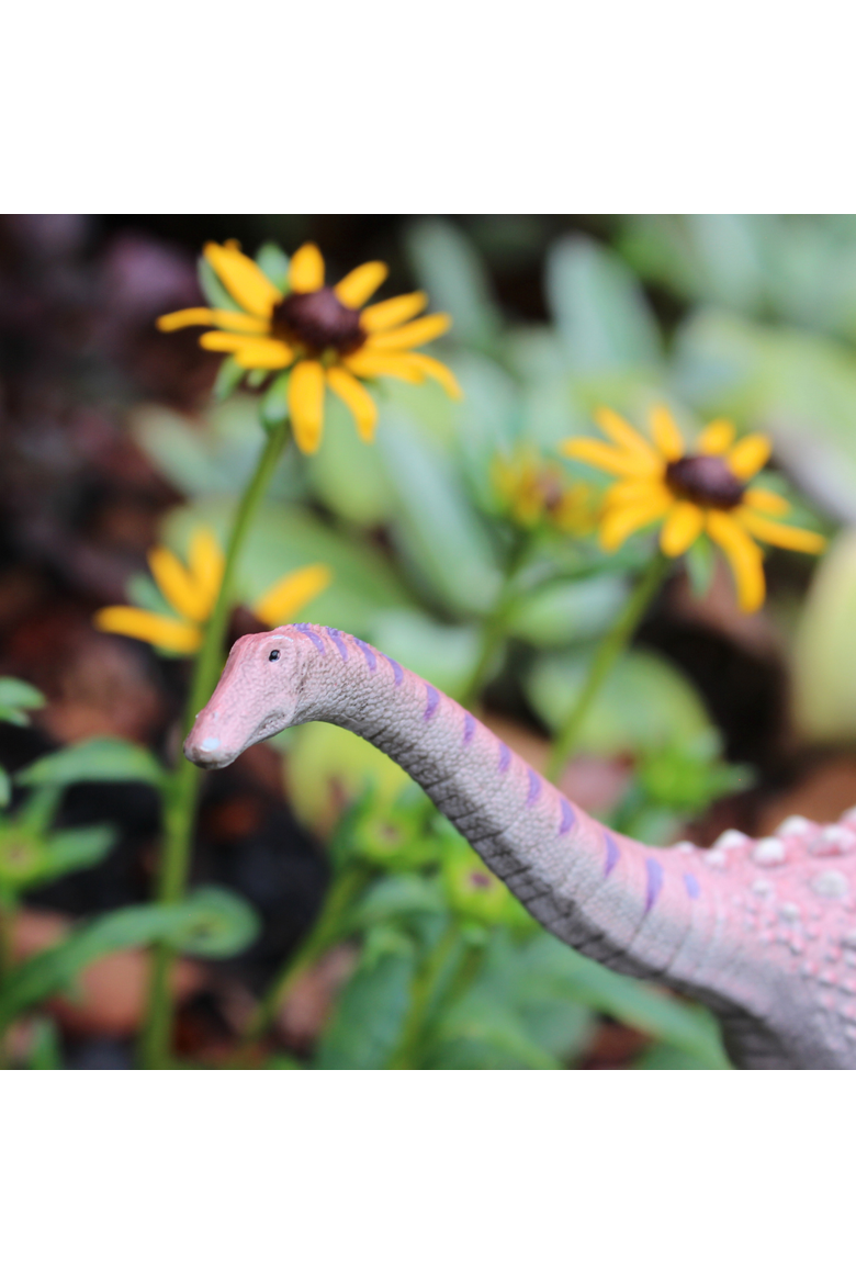 Saltasaurus Toy, Alternate, color, No Color