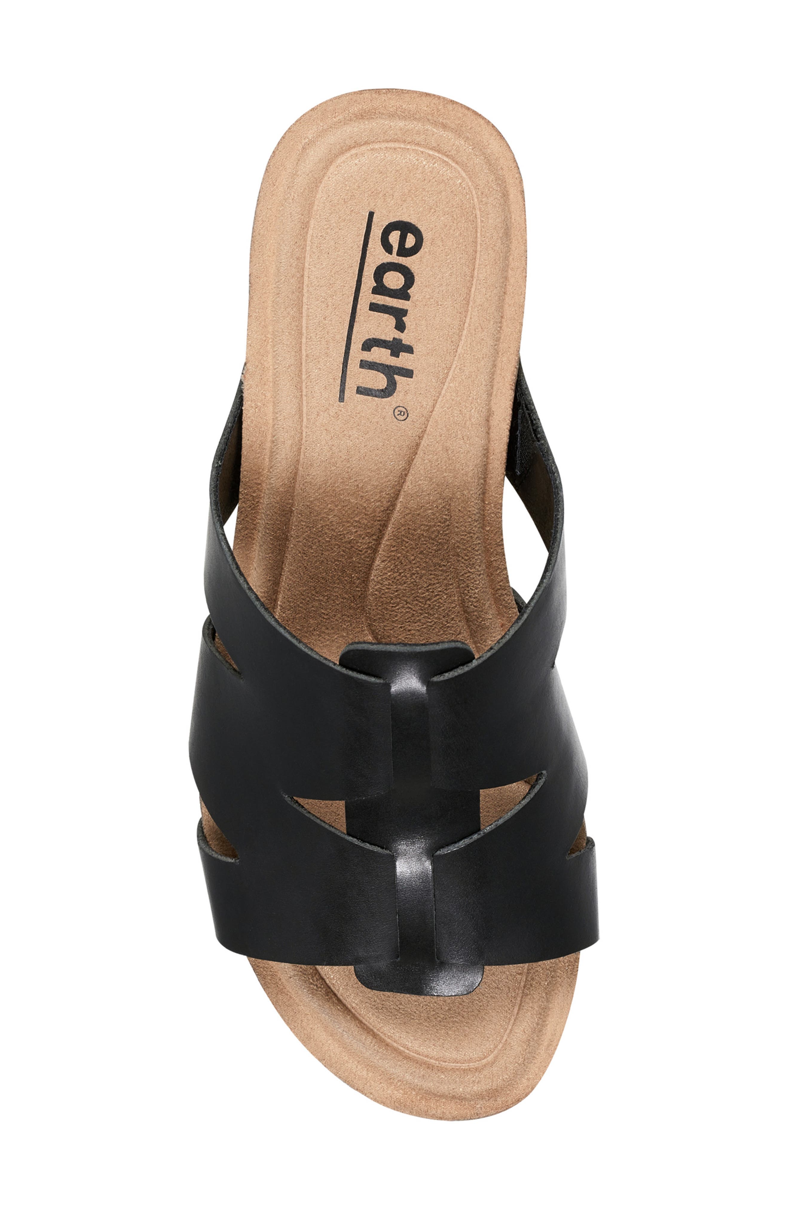 Earth<sup>®</sup> Willow Wedge Strappy Sandal, Alternate, color, 