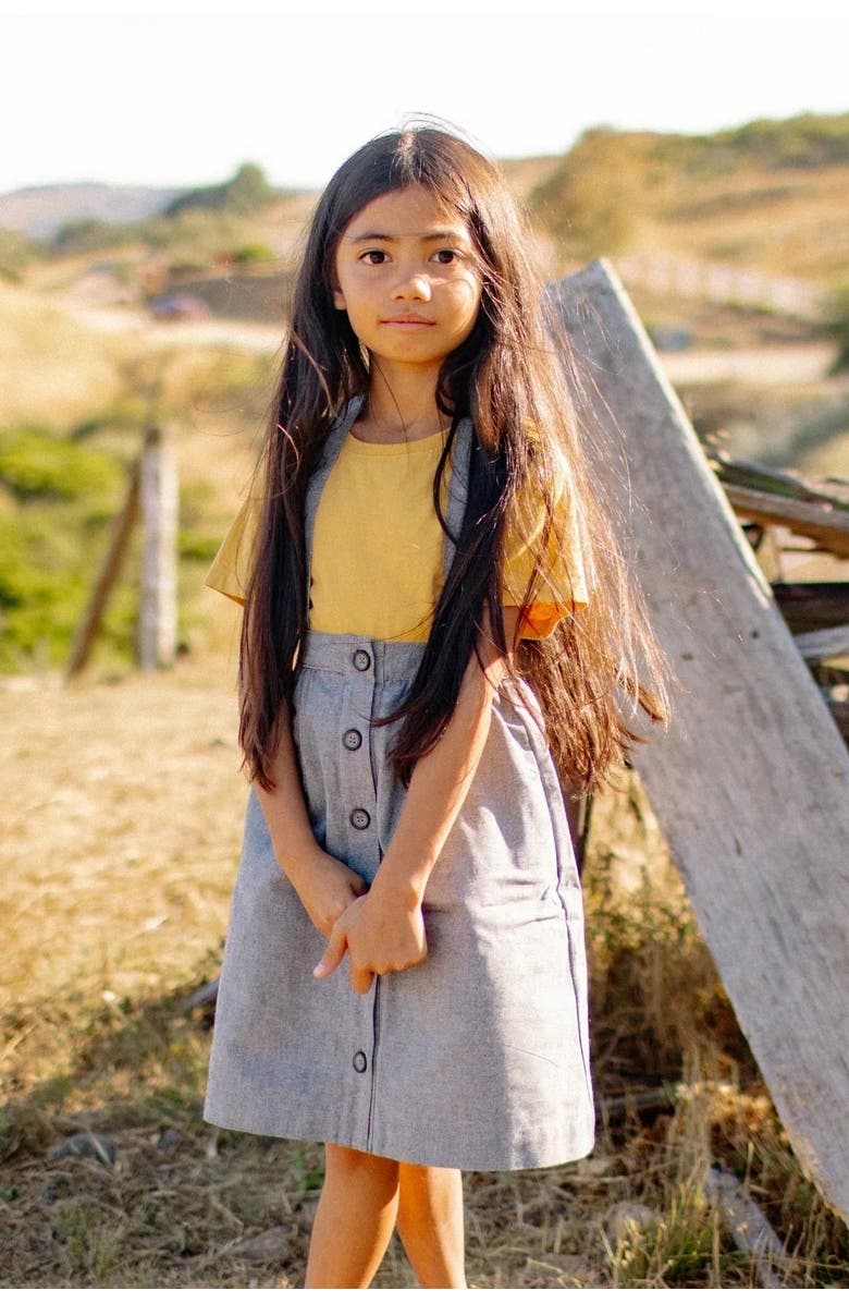 Jackalo Kids' Organic Cotton Parker Pinafore Skirt, Alternate, color, Blue Gray