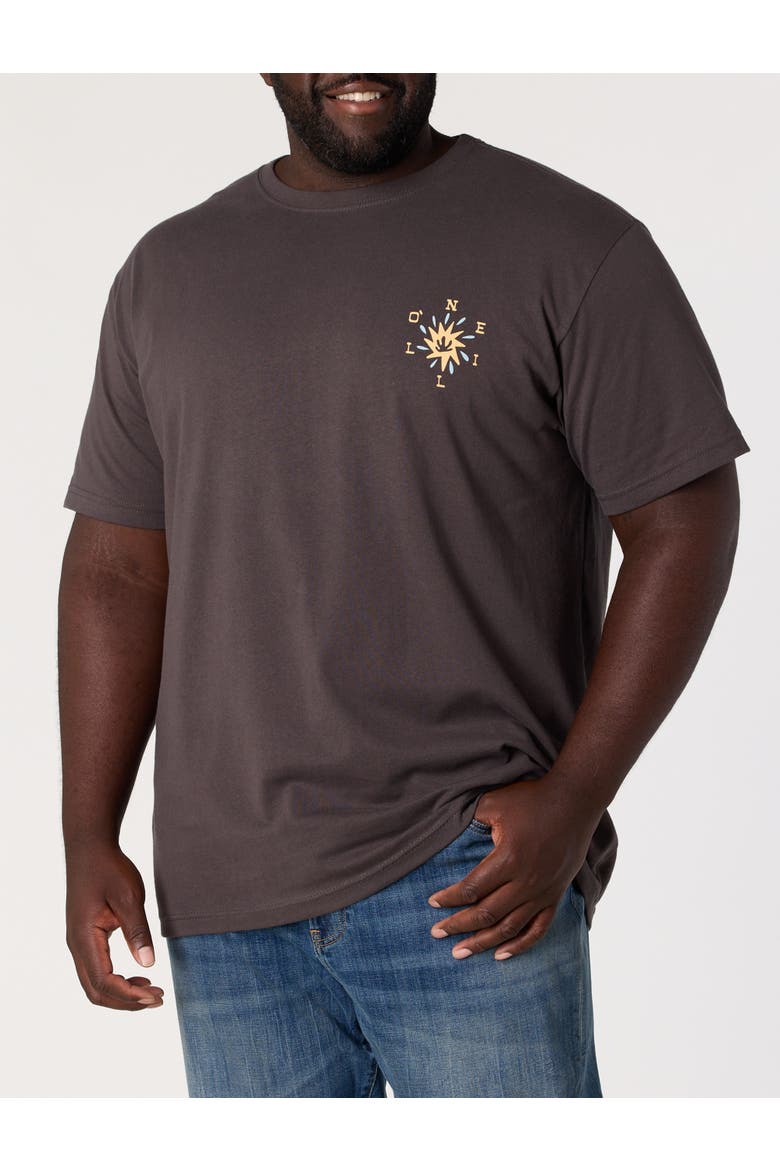 Big & Tall Nonagon Classic T-Shirt, Main, color, GREY