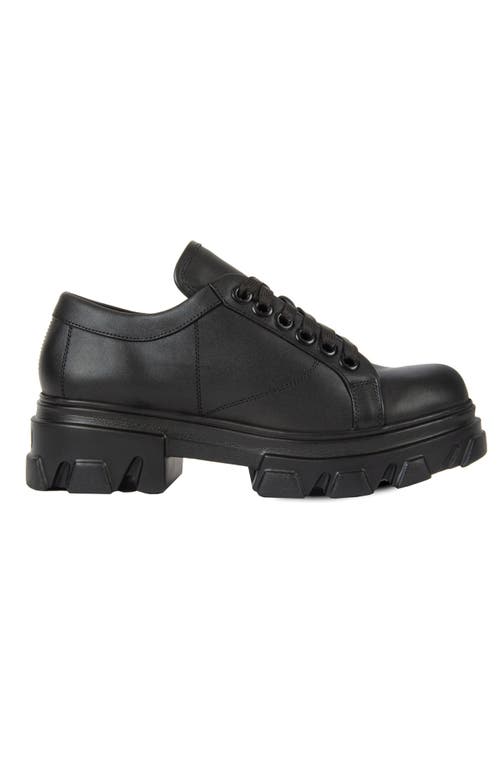 Urbnkicks The Collegiate Leather Sneaker In Black