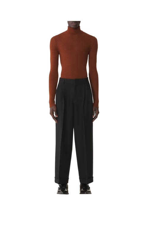 Lanvin Turtleneck Sweater In Merino Wool And Silk In Brown