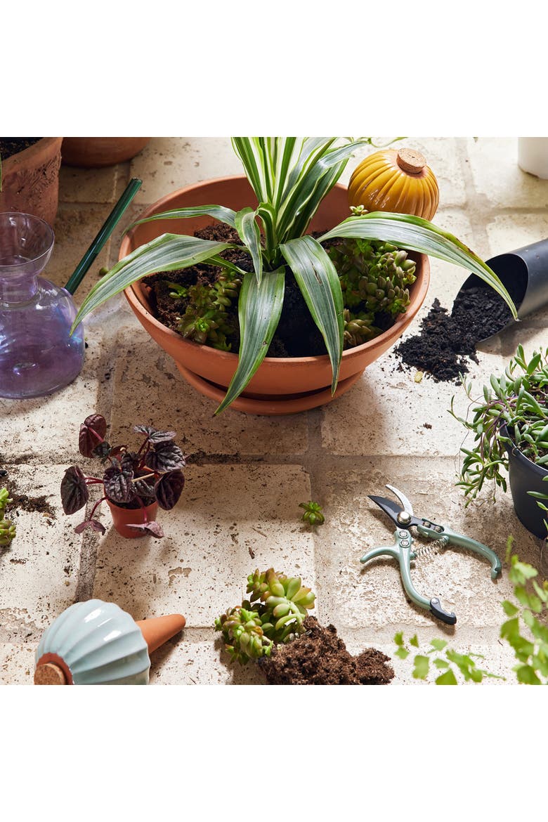 Watering Bulbs - 3 pack, Alternate, color, Assorted