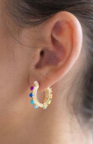 Erin McDermott Jewelry Happiness Huggie Hoops