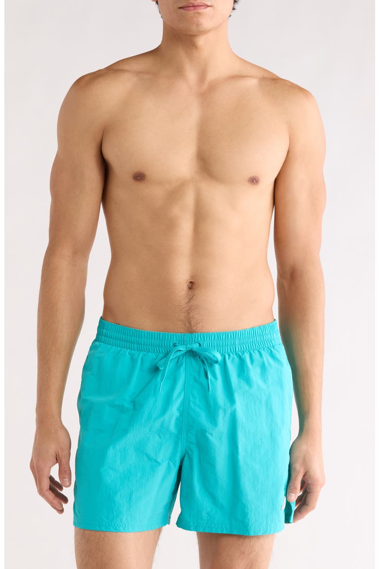 5-Inch Volley Swim Trunks, Main, color, DUSTY CACTUS