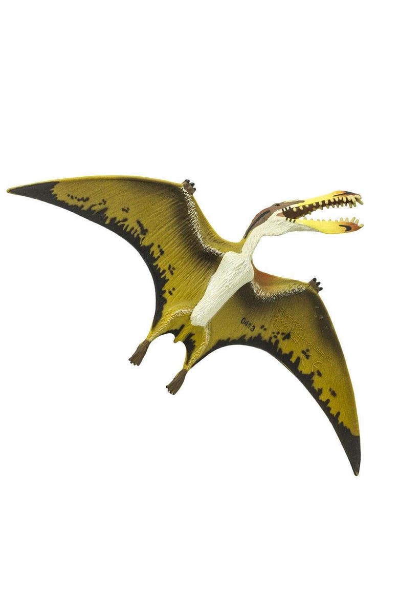 Safari Ltd. Pterosaur Kids Prehistoric/Dinosaur Toy Figure, Alternate, color, NO COLOR