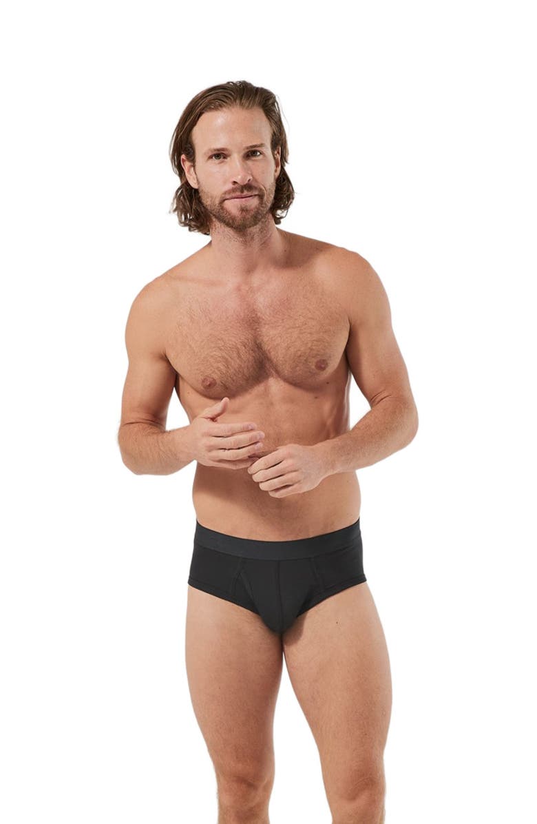 Pact Organic Cotton Everyday Brief 4-Pack, Main, color, 