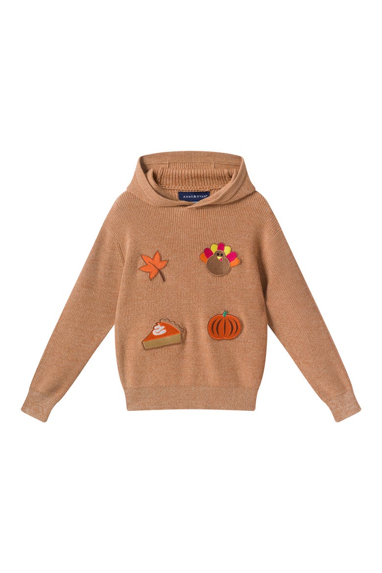 Kids' Embroidered Cotton Hooded Sweater, Main, color, BGA-BEIGE THANKS
