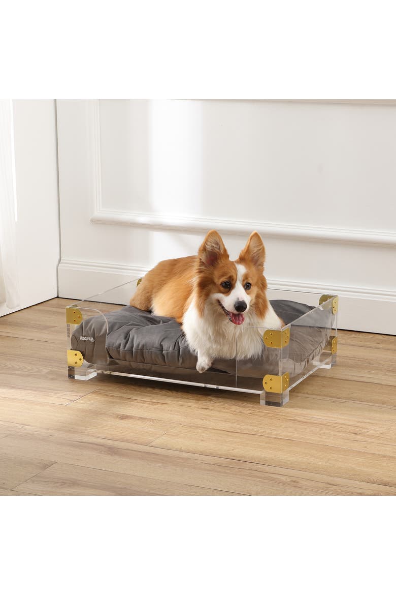 Haines 21.5" x 15.25" Small/Medium Modern Lucite Velvet Pet Bed with Washable Cushion, Alternate, color, Dark Gray/Clear/Brass Gold