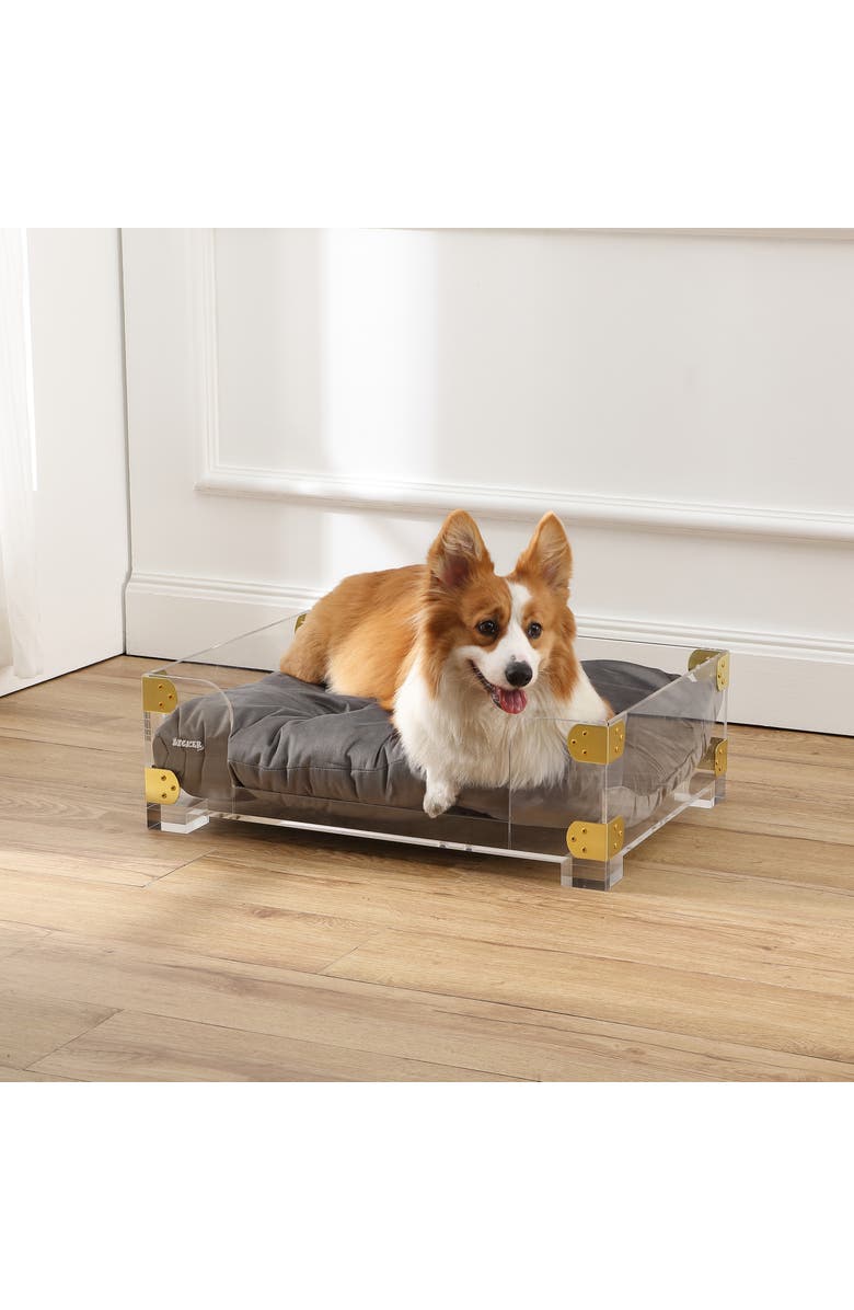 The Licker Store Haines 21.5" x 15.25" Small/Medium Modern Lucite Velvet Pet Bed with Washable Cushion, Alternate, color, Dark Gray/Clear/Brass Gold