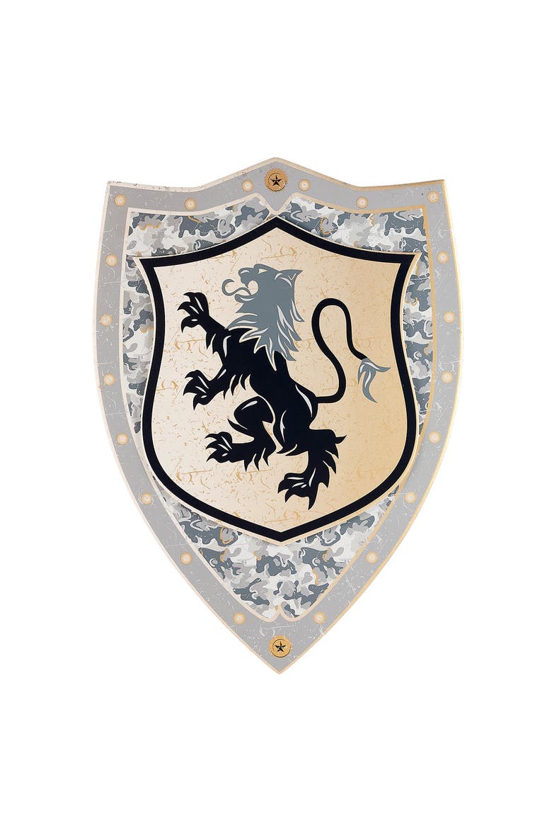 Shield Raymond Costume Accessory, Main, color, Silver