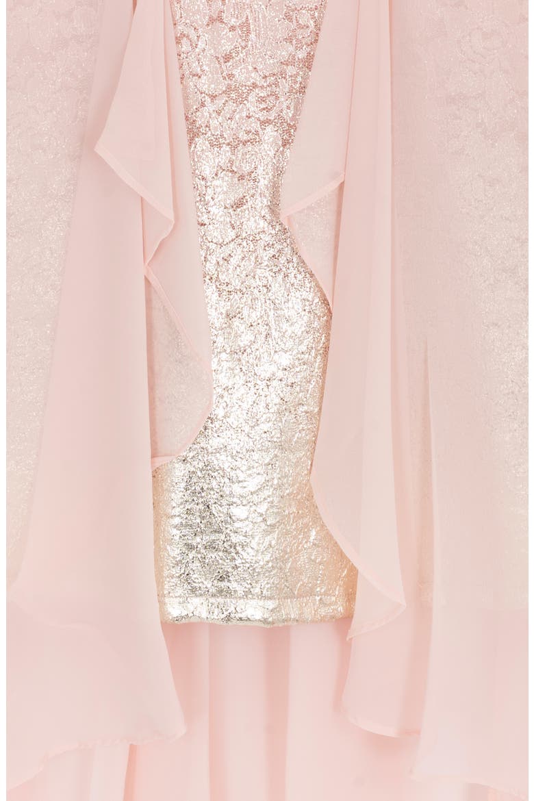Kids' Floral Lace & Chiffon Dress, Alternate, color, BLUSH