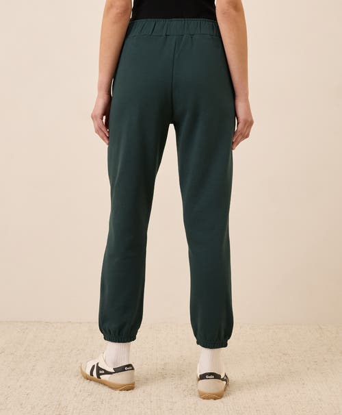 Pact Organic Brushed Fleece Sweatpant In Black