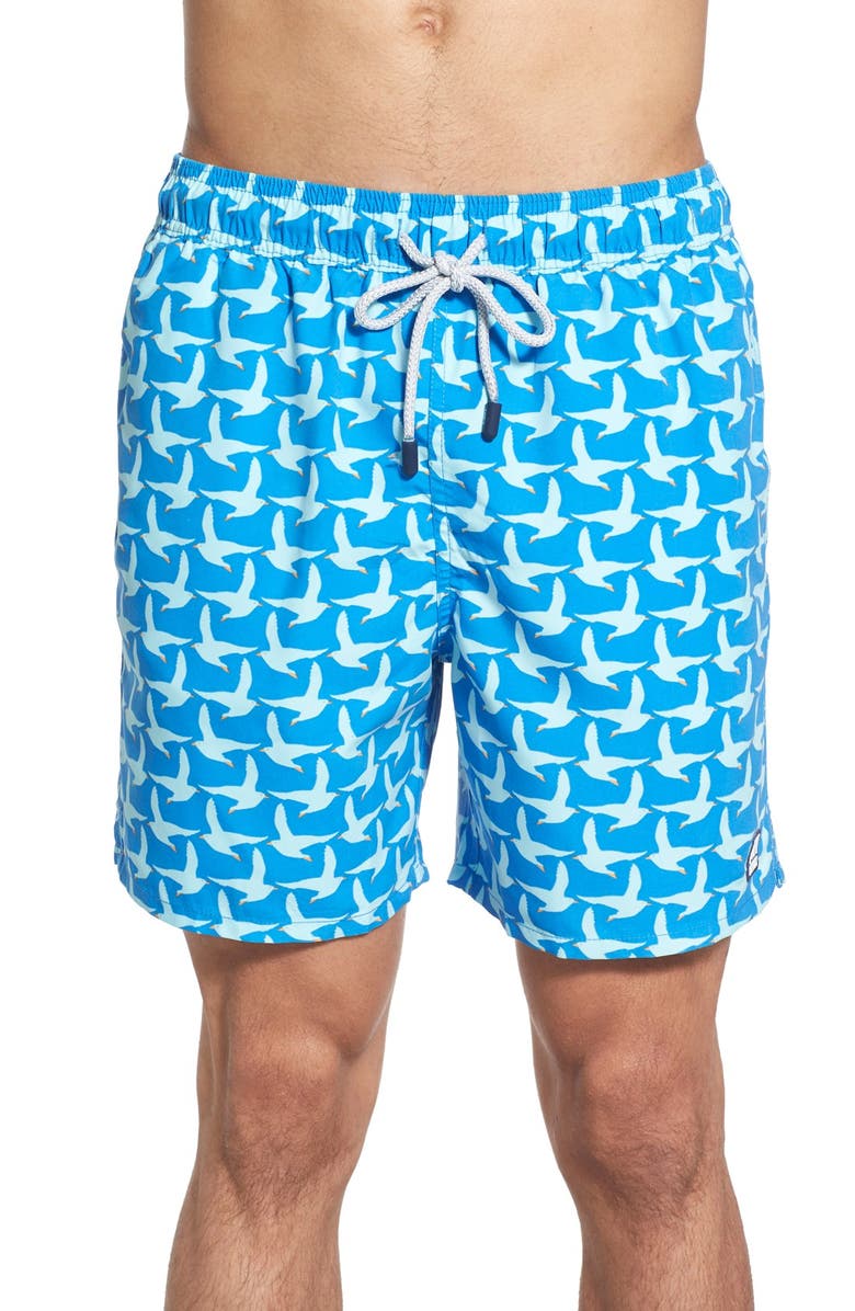 Tom & Teddy Seagull Print Swim Trunks, Main, color, 