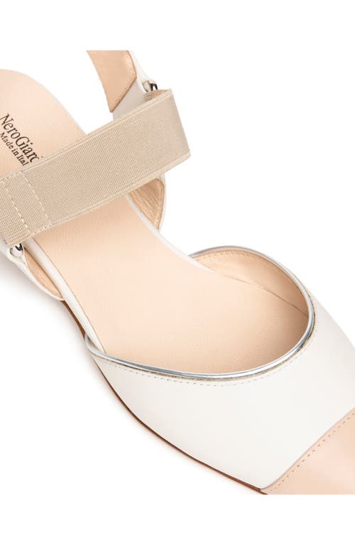 Nerogiardini Pointed Toe Flat