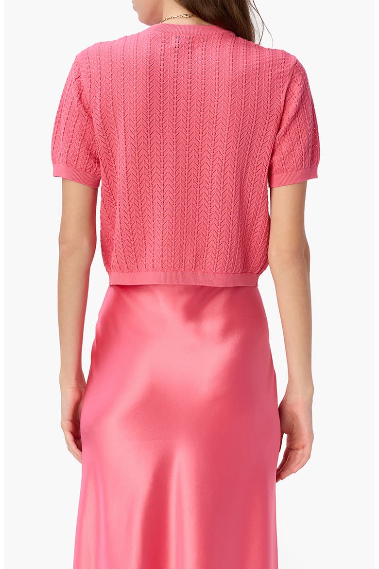Ellory Crop Cotton Pointelle Top, Alternate, color, HIBISCUS