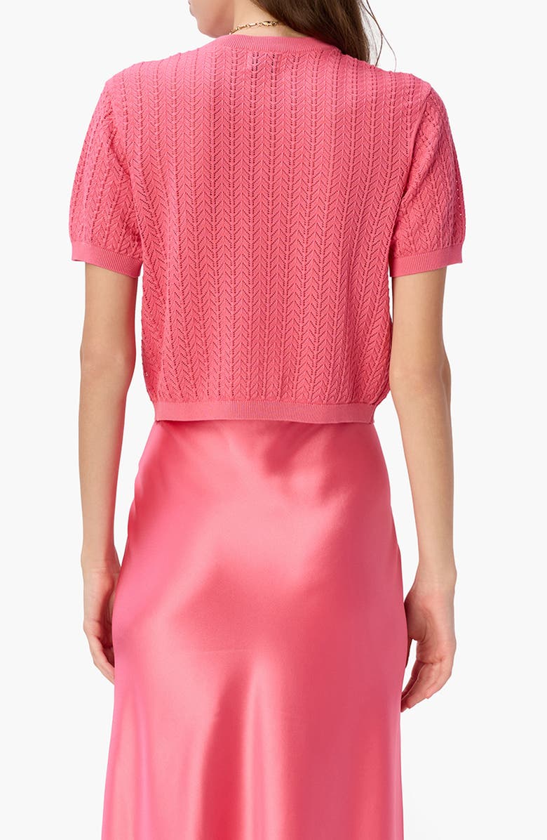 CAMI NYC Ellory Crop Cotton Pointelle Top, Alternate, color, Hibiscus
