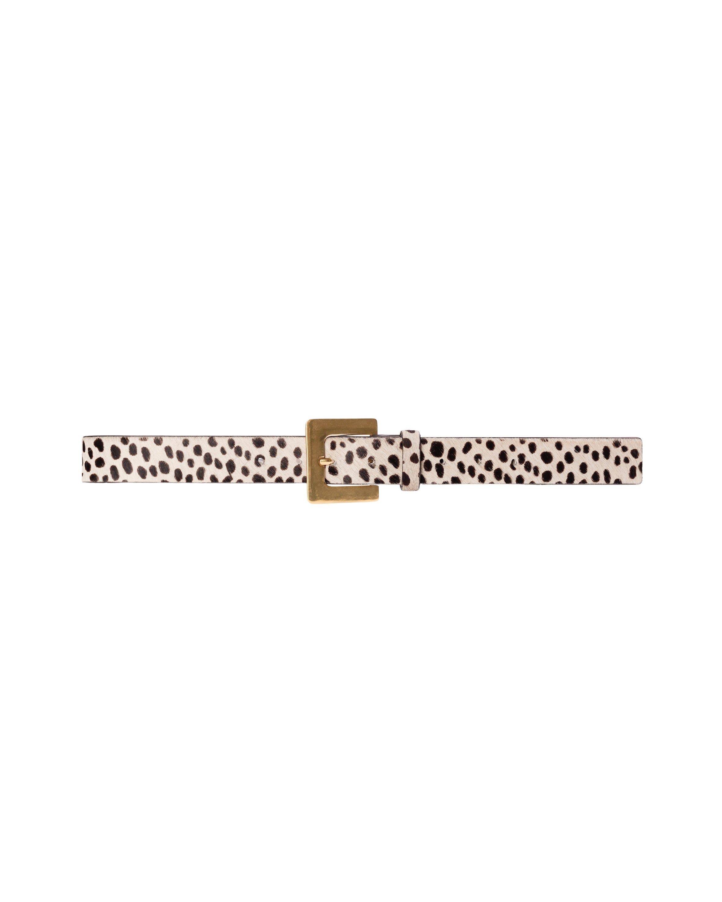 selected DOTTED CHEETAH