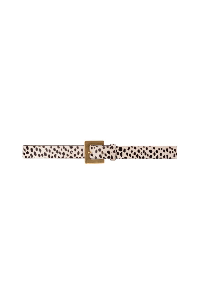 NOIR BELT, Main, color, DOTTED CHEETAH