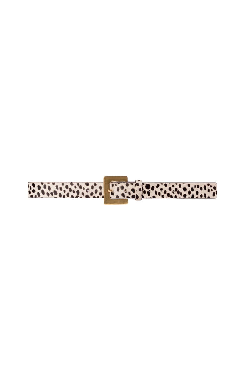 BLACK SUEDE STUDIO NOIR BELT, Main, color, Dotted Cheetah