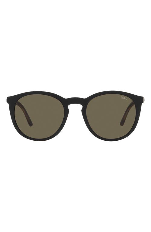 POLO 50mm Phantos Optical Glasses in Matte Havana  product