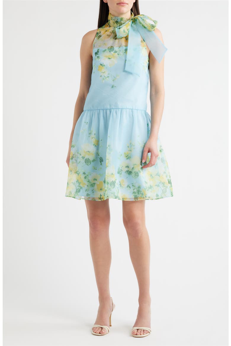 Placed Floral Drop Waist Cocktail Dress, Main, color, BLUE YELLOW