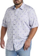 Robert Graham Big & Tall Belmond Sport Shirt