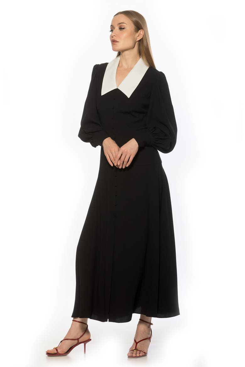 Kate Collared Long Sleeve Maxi Dress, Alternate, color, BLACK/ IVORY