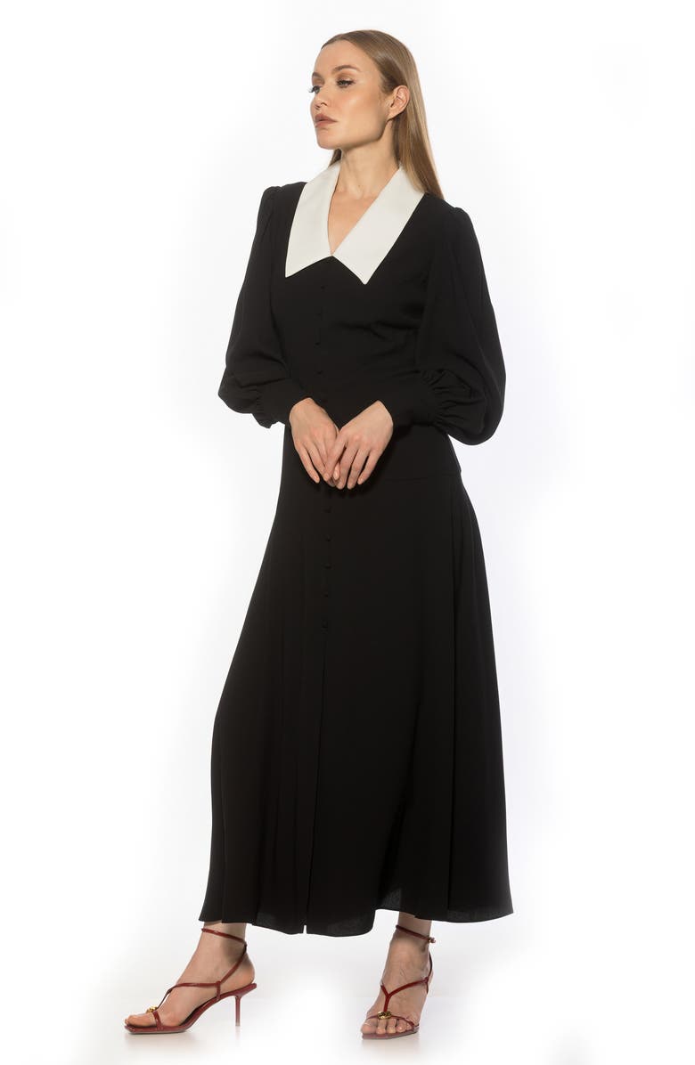 Alexia Admor Kate Collared Long Sleeve Maxi Dress, Alternate, color, Black/ Ivory